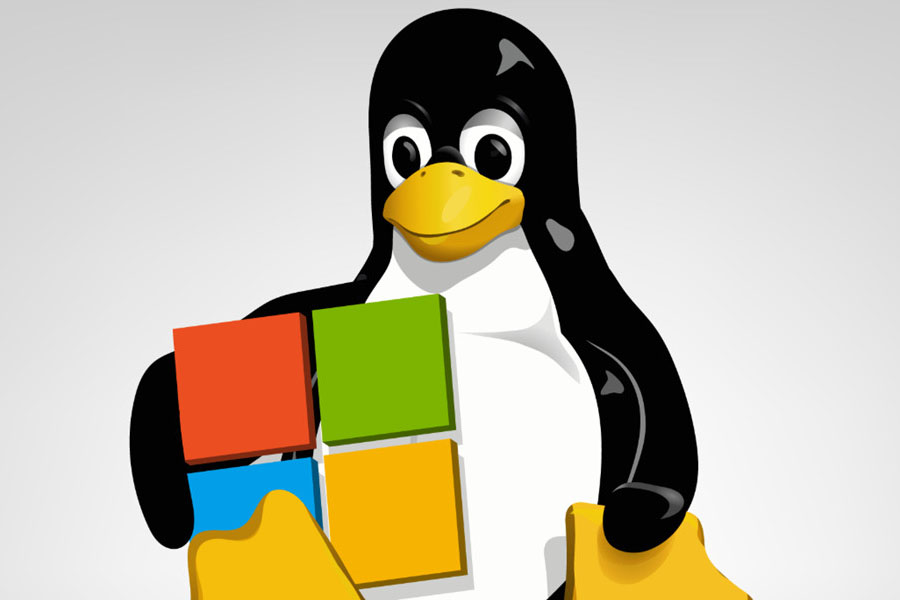 Microsoft Integrará Un Kernel Completo Y De Código Abierto De Linux En ...